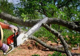 Best Seasonal Cleanup (Spring/Fall)  in Kennewick, WA